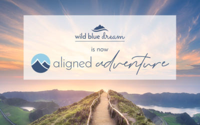 Wild Blue Dream is now Aligned Adventure!